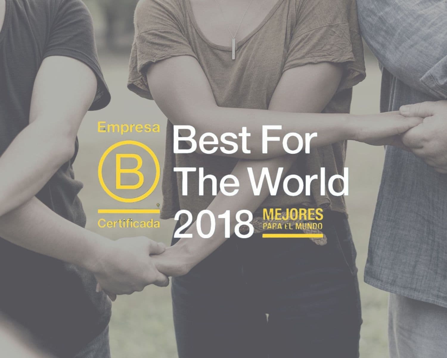 Recertificación como Empresa B. | Reconocimiento “Mejores Empresas B para el Mundo: Agentes de Cambio” por B Lab. - 2018