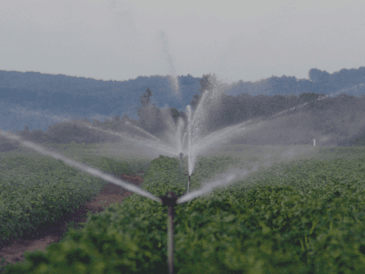 Dictuc lanza plataforma para gestión sustentable de aguas residuales en la cuenca del Río Maipo