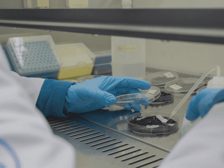 Buenas prácticas ambientales en los laboratorios: Un compromiso con la gestión ambiental 