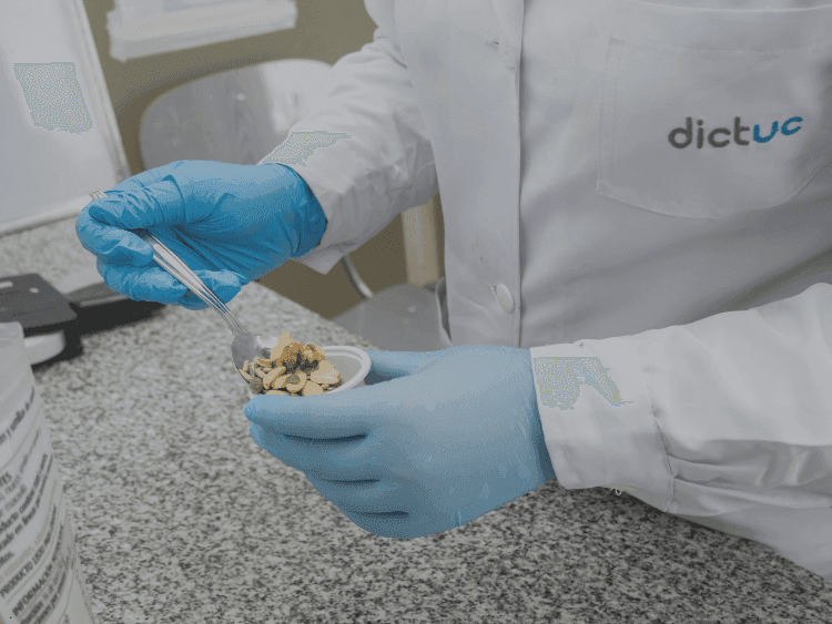 Universidad Católica, CENIA y Dictuc lideran programa tecnológico para impulsar la adopción de IA en la industria alimentaria chilena