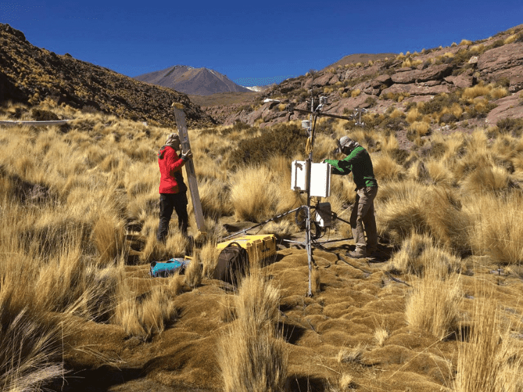 Asesoría en recursos hídricos de las cuencas del Río Silala y del Salar de Coposa