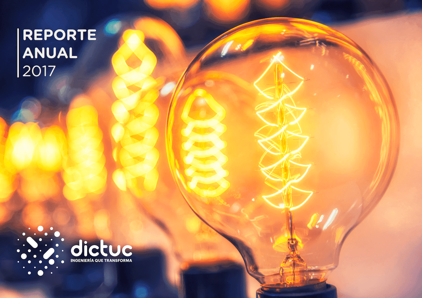 Reporte Anual 2017