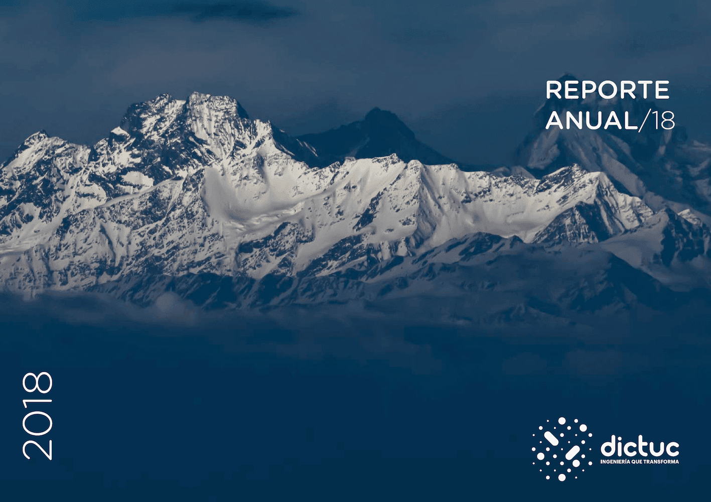 Reporte Anual 2018