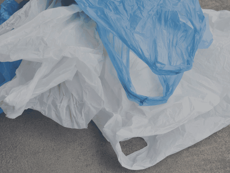 Día Internacional Libre de Bolsas Plásticas: ¿Cómo la IA nos ayudará en este ámbito?