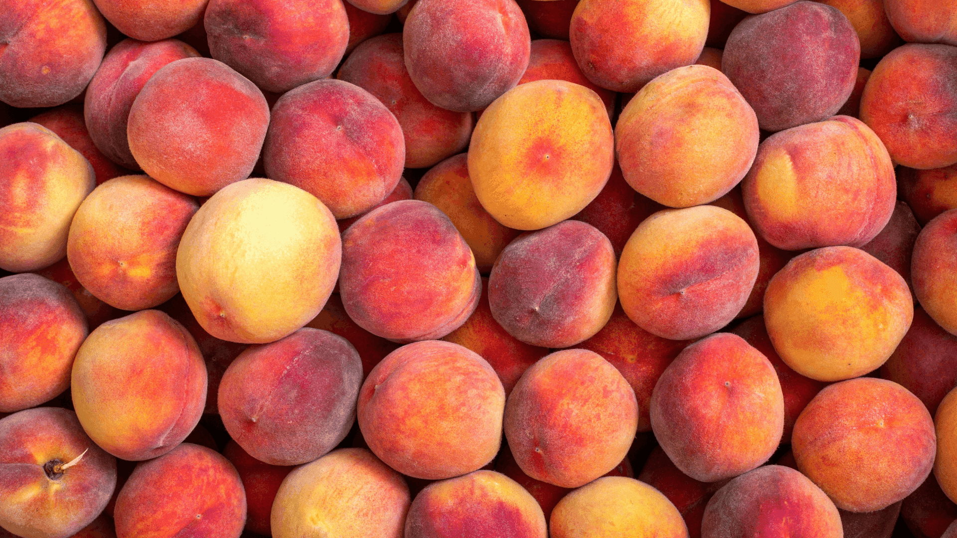 Dictuc y Red de Alimentos: una alianza que visibiliza el impacto ambiental del rescate de alimentos 