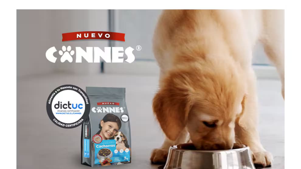 Certificación de Calidad Alimentos para mascotas