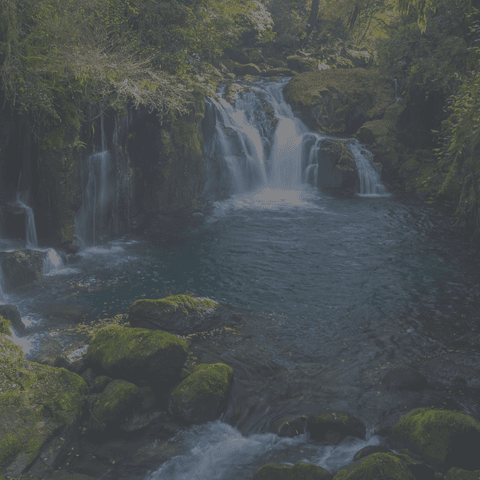 Agua de baño: En qué fijarse a la hora de darse un chapuzón