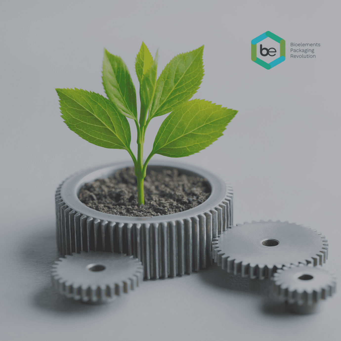 Dictuc en la prensa: Bioelements invierte en tecnología para avanzar en sus certificaciones de biodegradabilidad