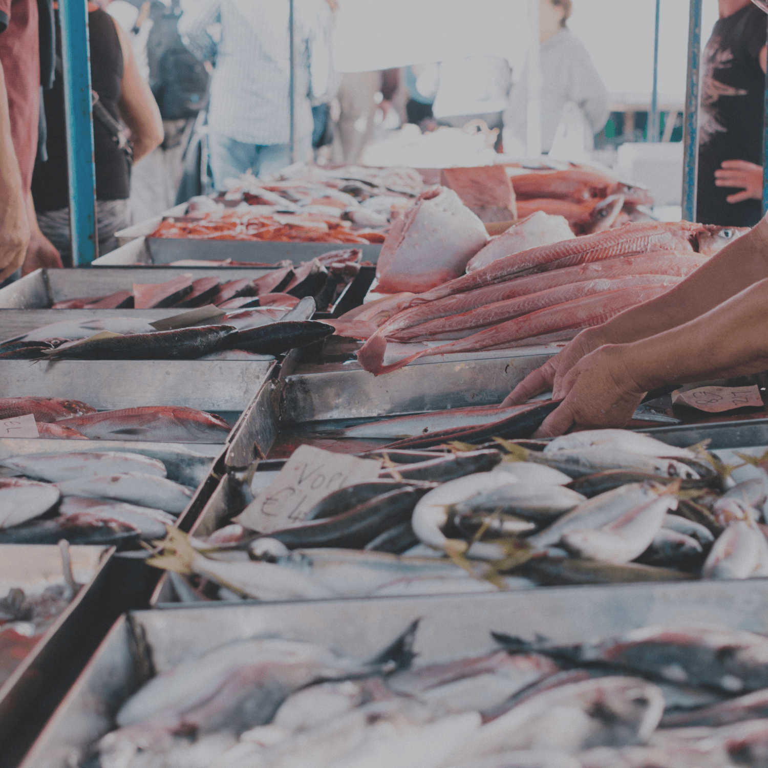 Recomendaciones para evitar problemas con pescados y mariscos