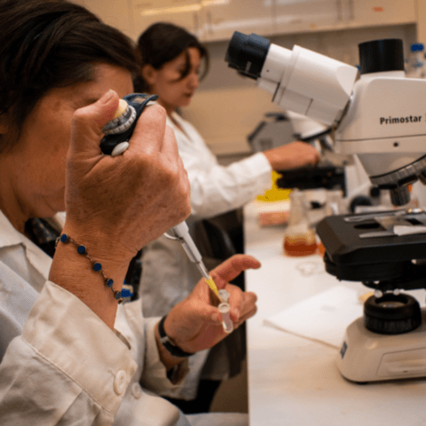 Día de la Mujer y la Niña en la Ciencia